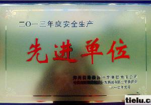 鄭州鐵路經(jīng)濟(jì)開發(fā)集團(tuán)鄭宜蘭公司喜獲“2013年度安全生產(chǎn)先進(jìn)單位”榮譽(yù)稱號