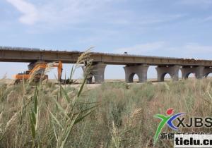 ���O�е��m�¶���