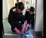 ��(qi��ng)���_(d��)��(bi��o)������܇��l(w��i)��������α���Ĺ���