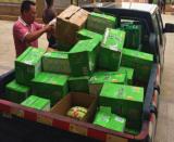 ��ϵ���ӣ����Fʮ�˾ּ��F�dȪ�F·�Ŀ���_չ2017��