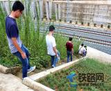 上海鐵路局對十一局杭黃項目管段工程開展聯合工務檢