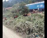 7�^��ţ�F·߅������ Σ�U ��Ȫ��꠆T���r��ֹ ��