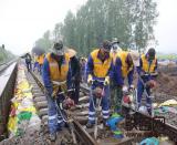 �����̎D�ͱ��� �������ֶ��\���a