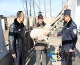 �������G��� �F�������ͼ���