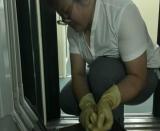  ���c��܇���������α��l(w��i)��(zh��n)��