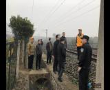 �����{�г����� ·���ֱ�ƽ��