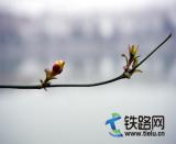  ����ʹ��