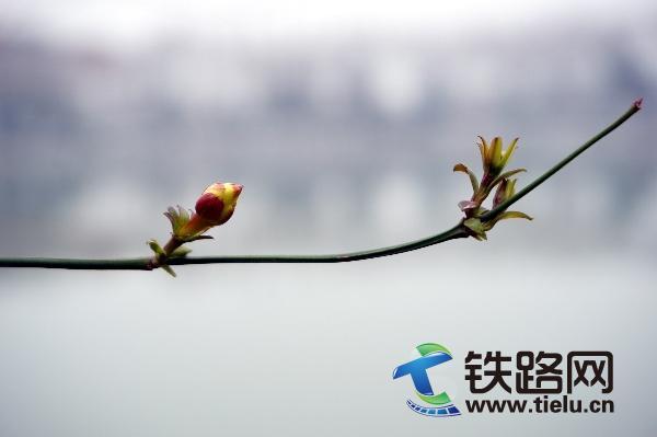  ����ʹ��