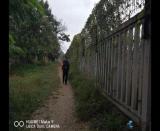 ͬ�����ф��׏�