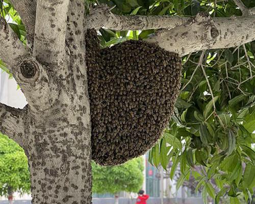 ��FԺ����̎���r����У���R��C����У�@��ȫ�[��